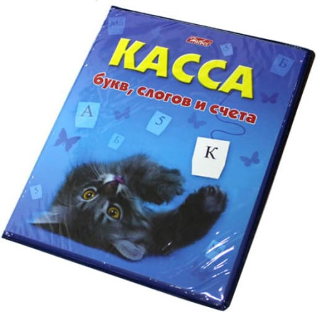 Касса букв, слогов, цифр и счета (Hatber)