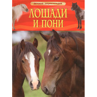 Лошади и пони Детская Энциклопедия