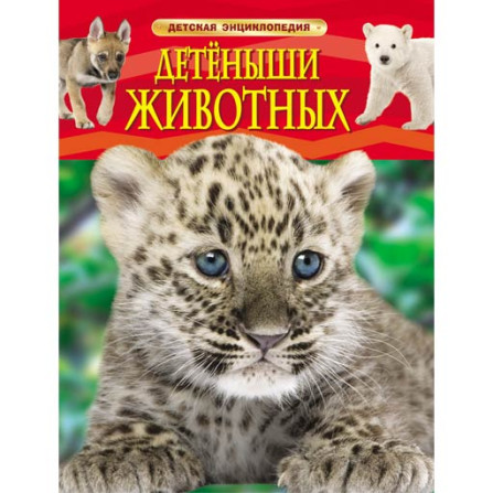 Детеныши животных детская энциклопедия