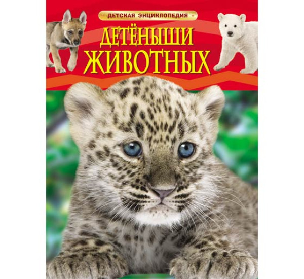 Детеныши животных детская энциклопедия