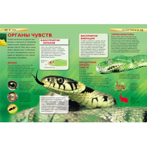 Змеи детская энциклопедия