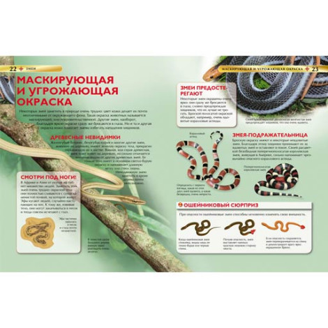 Змеи детская энциклопедия