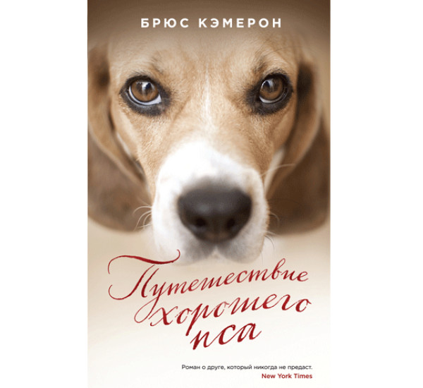 Путешествие хорошего пса. Кэмерон Брюс