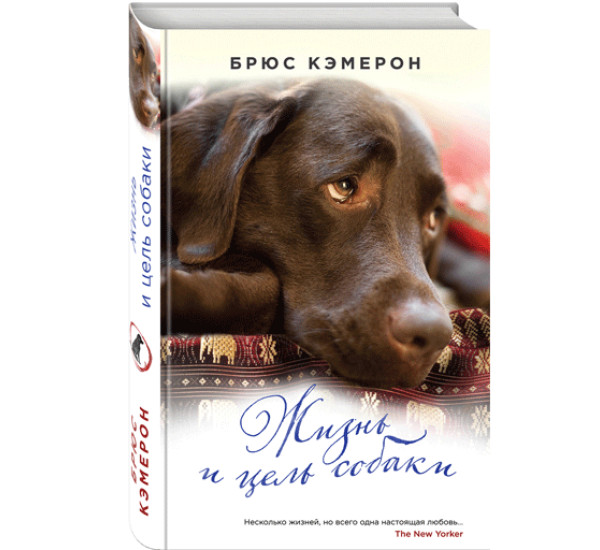 Жизнь и цель собаки. Кэмерон Брюс