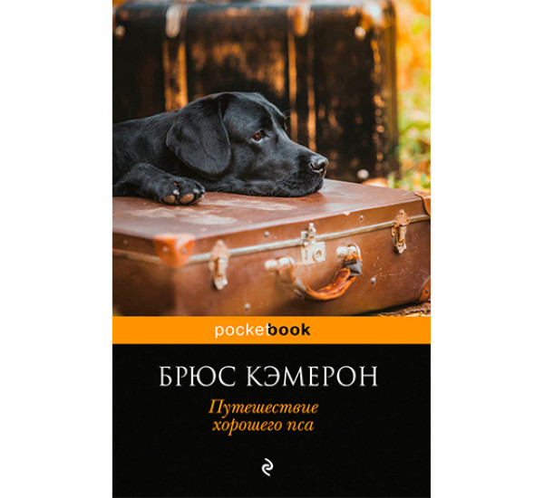 Путешествие хорошего пса Кэмерон Брюс
