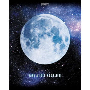 Тетрадь (96 л клетка) Лунный свет "Hatber"