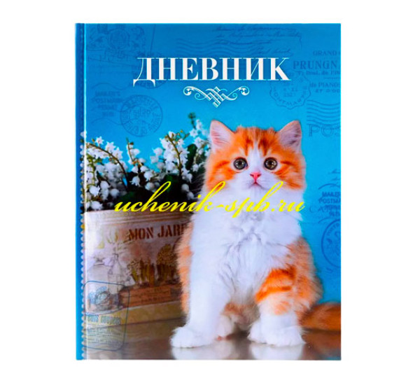 Дневник 40л 1-11 класс "Котик"  "Hatber"