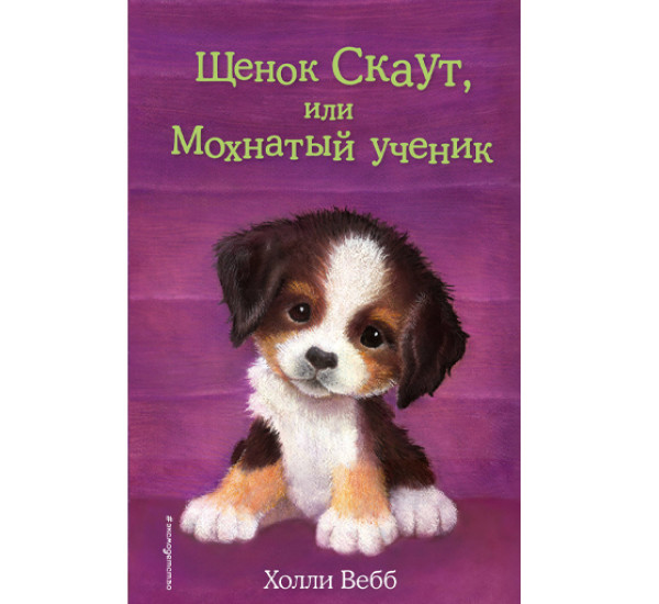 Щенок Скаут, или Мохнатый ученик! Вебб Холли