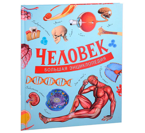 Человек. Большая энциклопедия Д. Маттарэлли, Э. Пальяри, С. Папи и др.