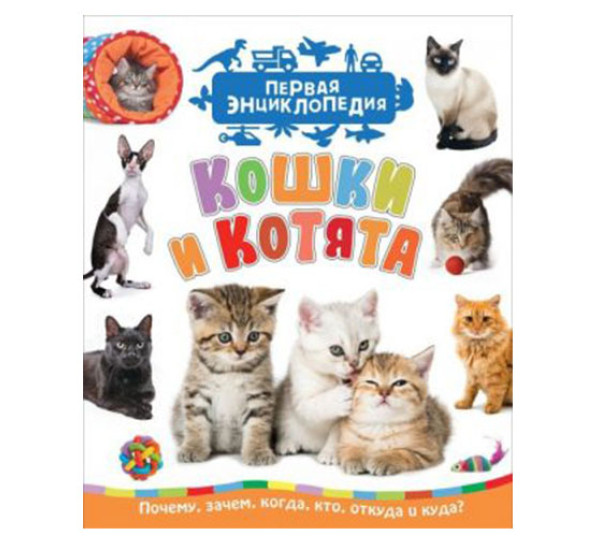 Кошки и котята (Первая энциклопедия), Гальцева С. Н.