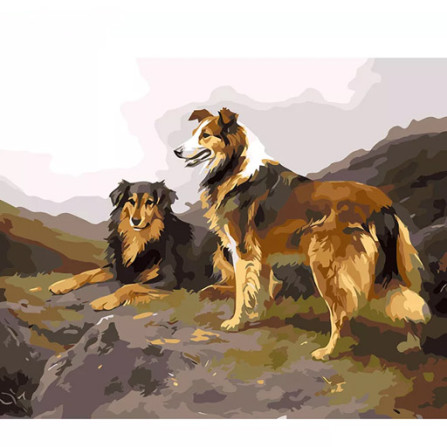 Картина по номерам 40х50 см MS8558 Две собаки