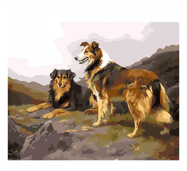 Картина по номерам 40х50 см MS8558 Две собаки