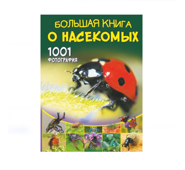 Большая книга о насекомых. 1001 фотография,   Спектор А.А.