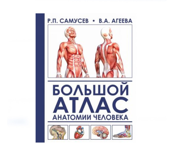 Большой атлас анатомии человека,  Самусев Р.П., Агеева В.А.