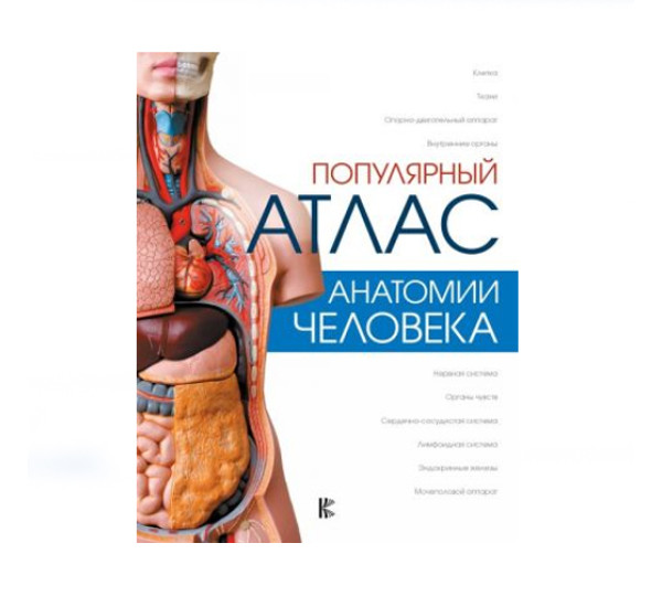 Популярный атлас анатомии человека,  Палычева Любовь, 