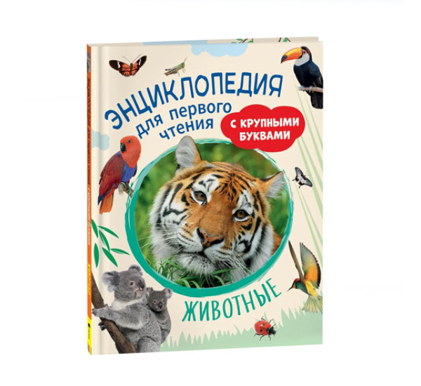 Животные. Энциклопедия для первого чтения с крупными буквами,  Гальцева С. Н.