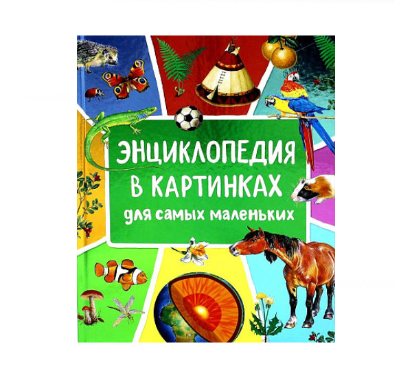 Энциклопедия в картинках для самых маленьких,  Клюшник Л. В.