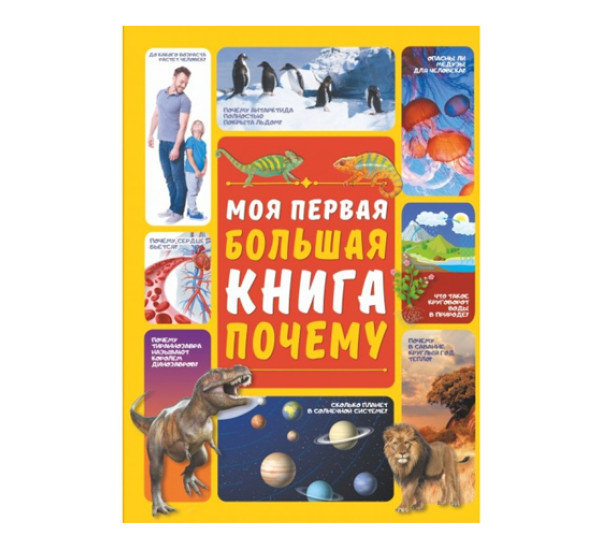 Моя первая большая книга почему. 