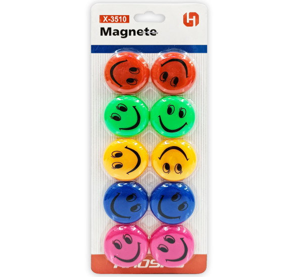 HAOSHU MAGNIT RENKLI 12 ST