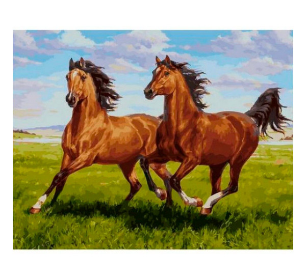 Картина по номерам 40х50 см MS8935 Пара лошадей