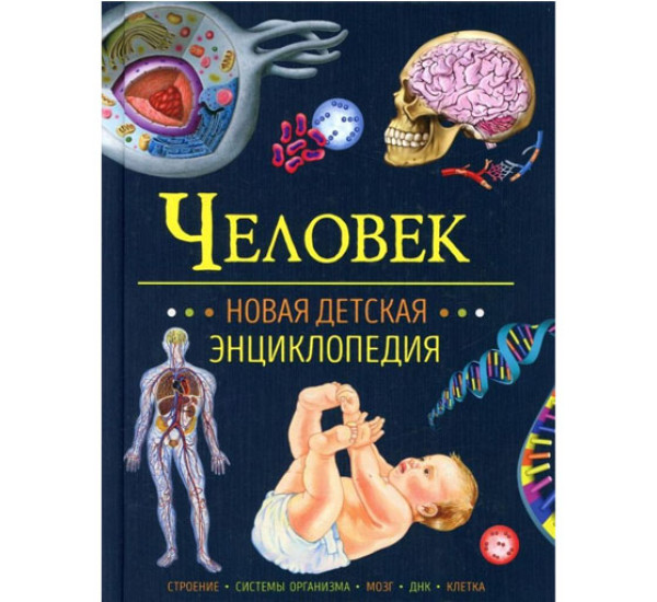 Человек. Новая детская энциклопедия,  Клюшник Л. В