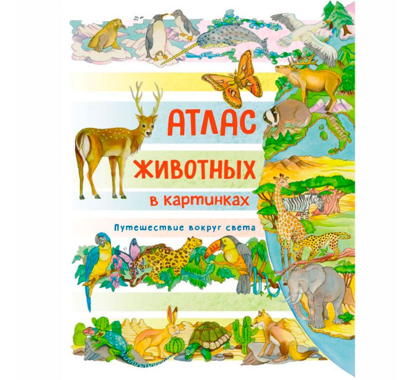 Атлас животных в картинках. Путешествие вокруг света, Барсотти Э.