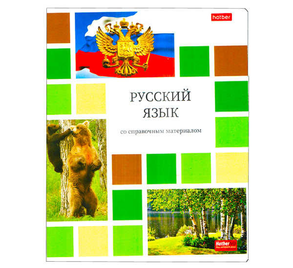 Тетрадь предметная 48л А5ф Цветная мозаика- РУССКИЙ ЯЗЫК