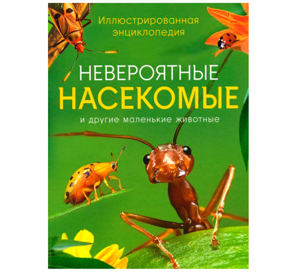 Невероятные насекомые. Иллюстрированная  энциклопедия, Мэтт Тернер.