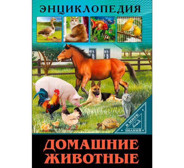 ЭНЦИКЛОПЕДИЯ. В МИРЕ ЗНАНИЙ. ДОМАШНИЕ ЖИВОТНЫЕ