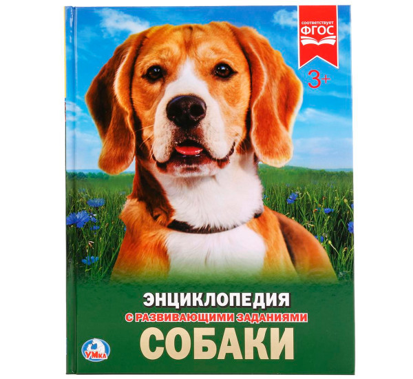 Собаки. (Энциклопедия А4 с развивающими заданиями). Умка