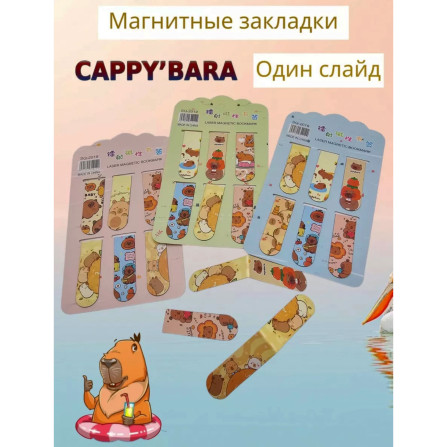 Закладки магнитные ассорти