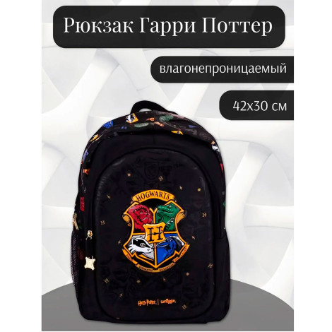 Рюкзак школьный Smigle 490562 Harry Potter