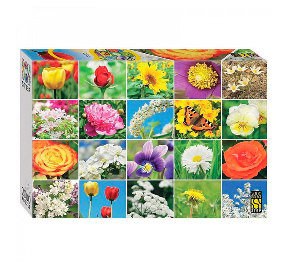 Мозаика "puzzle" 2000 "Цветы. Коллаж"