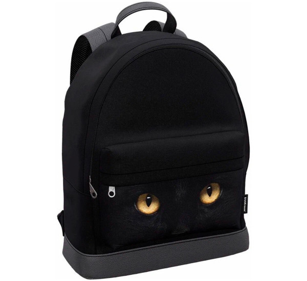 Рюкзак ErichKrause StreetLine с двумя отделением для ноутбука  17L Black Cat,черный