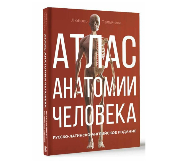 Атлас анатомии человека. Русско-латинско-английское издание, Палычева Любовь