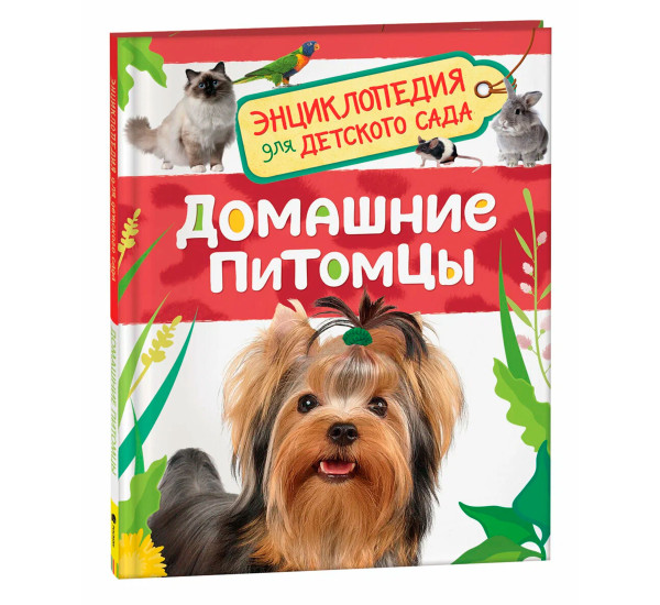 Домашние питомцы. Первая энциклопедия малыша, Попова Л.А.