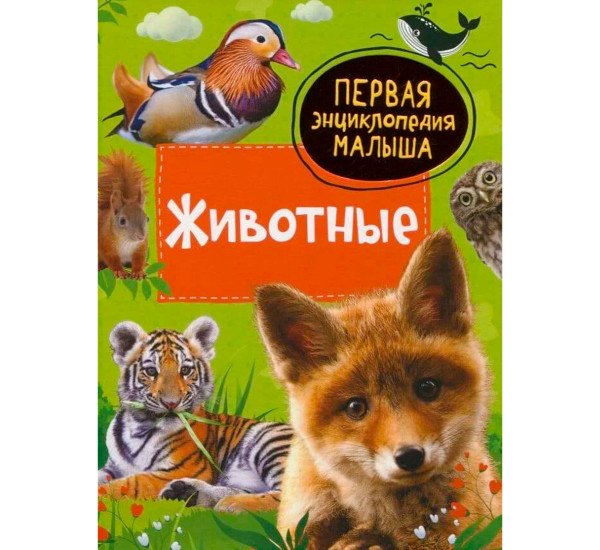 Животные. Первая энциклопедия малыша, Клюшник Л. В.