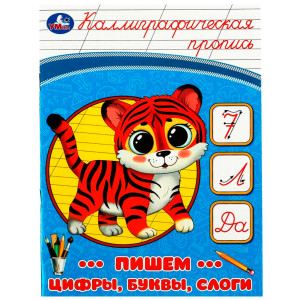 Пишем цифры, буквы, слоги. Каллиграфическая пропись.