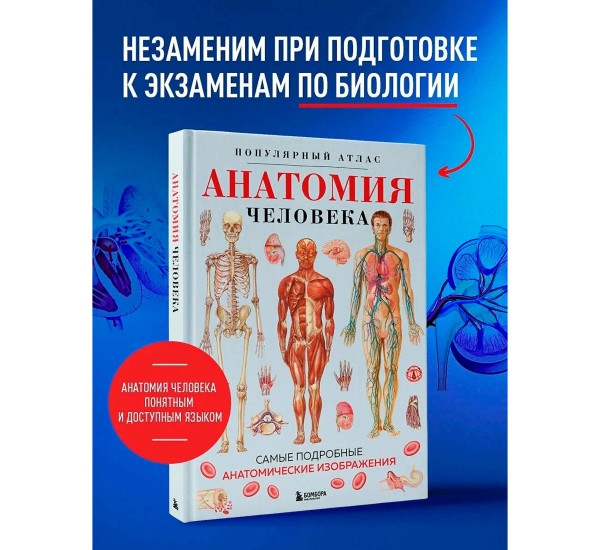 Анатомия человека. Популярный атлас. Самые подробные анатомические изображения