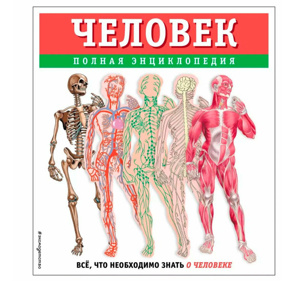 Человек. Полная энциклопедия. Школьник Ю. К