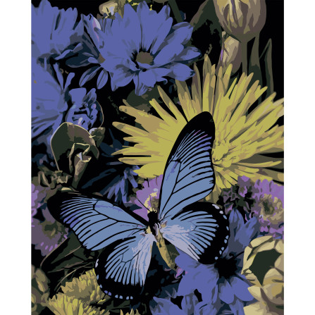 Картина по номерам 40*50 см YS-44114 Синие бабочки