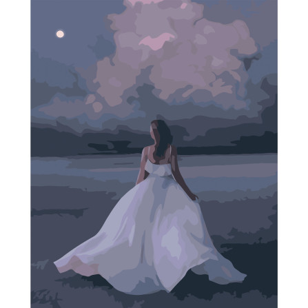 Картина по номерам 40*50 см YS-50964 Красавица в белом