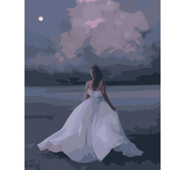 Картина по номерам 40*50 см YS-50964 Красавица в белом