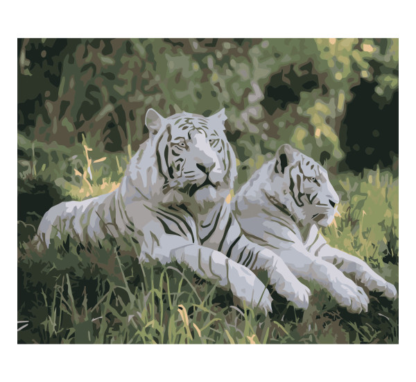 Картина по номерам 40*50 см YS-43658 Белые тигры