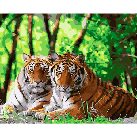 Картина по номерам 40*50 см YS-44192 Пара тигров
