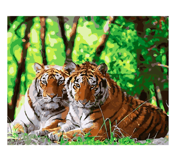 Картина по номерам 40*50 см YS-44192 Пара тигров
