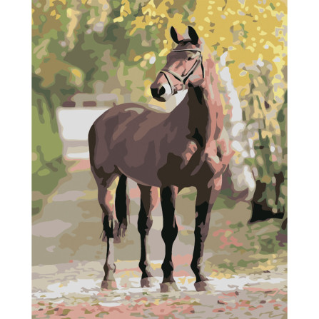 Картина по номерам 40*50 см YS-43615 Портрет Лошади