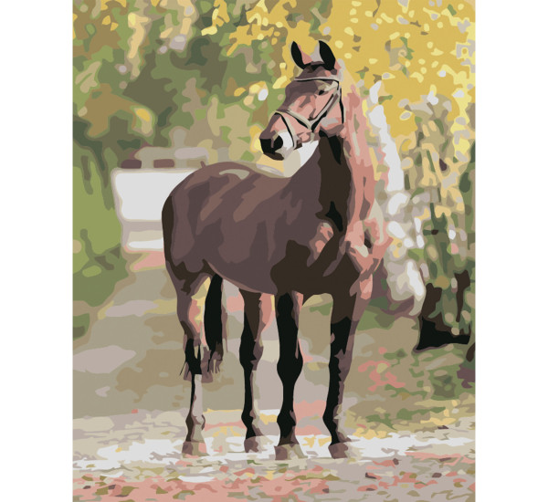 Картина по номерам 40*50 см YS-43615 Портрет Лошади