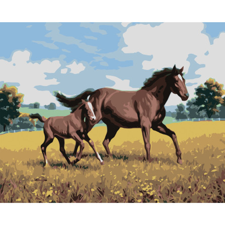 Картина по номерам 40*50 см YS-51487 Семейный галоп