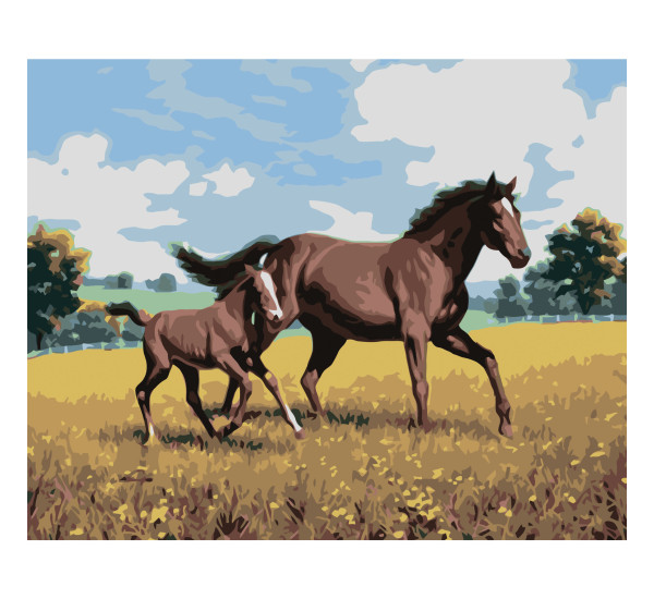 Картина по номерам 40*50 см YS-51487 Семейный галоп